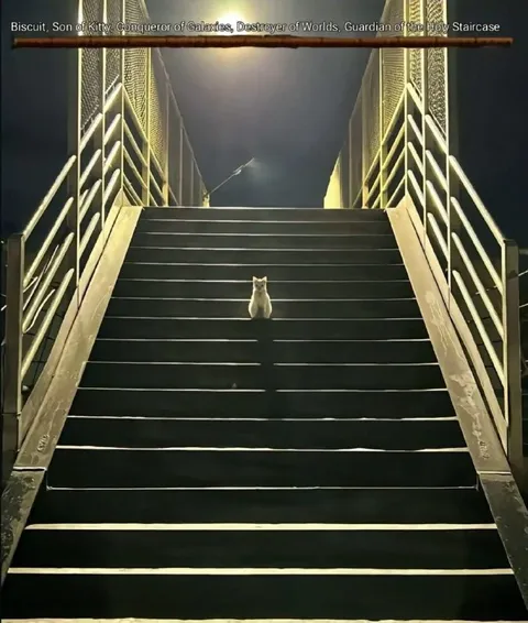 Biscuit Conquers the Staircase