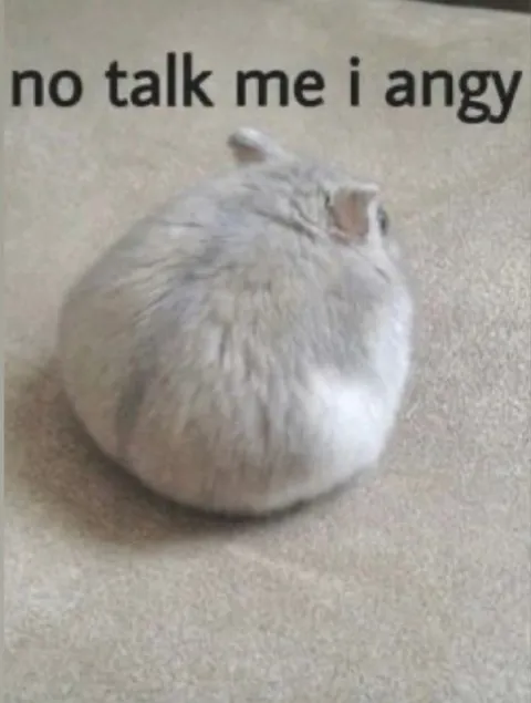 No Talk Me I Angy