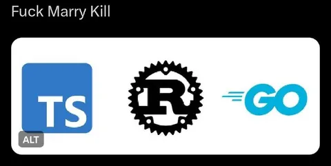 Fuck Marry Kill: Programming Languages