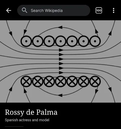 Rossy de Palma Wikipedia Search
