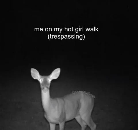 Hot Girl Walk Trespassing Deer