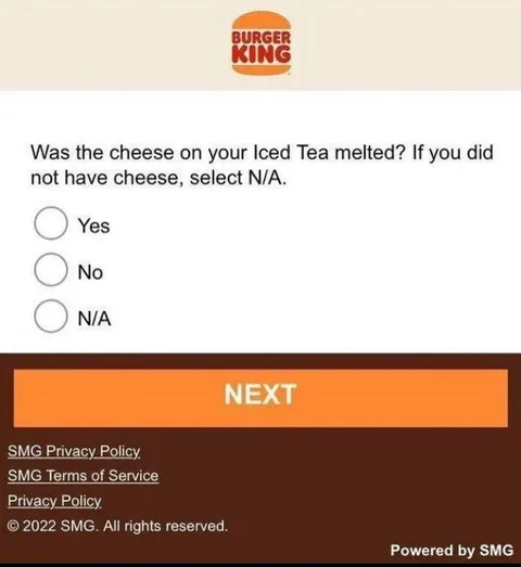 Cheese on Iced Tea Survey