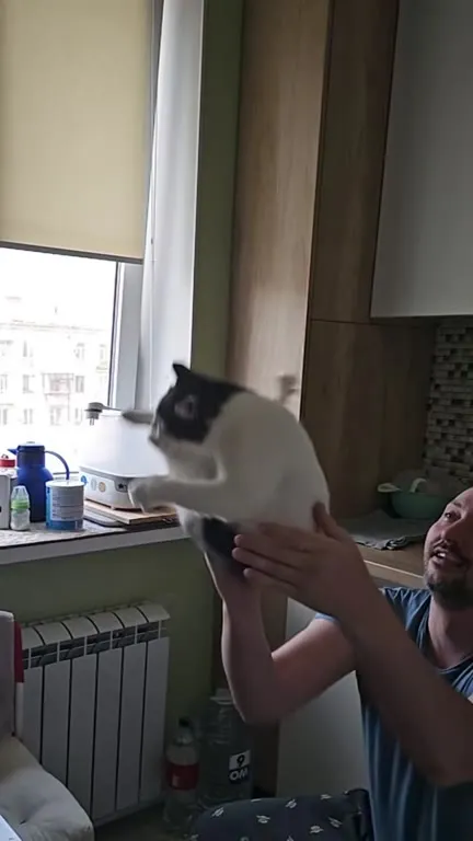 Кот летит под Эдит Пиаф