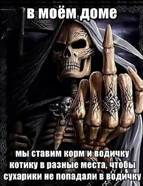 Скелет заботится о котике