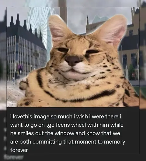 Serval Cat Ferris Wheel Fantasy