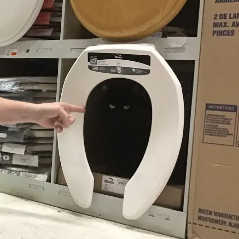 Toilet Seat With Tiny Eyes