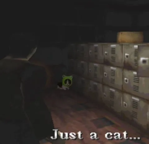 Just a Cat in the Hallway