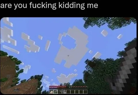 Are You Fucking Kidding Me Minecraft