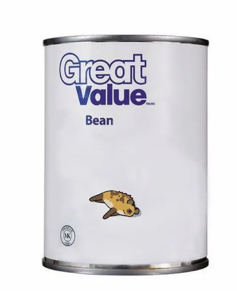 Great Value Bean Platypus