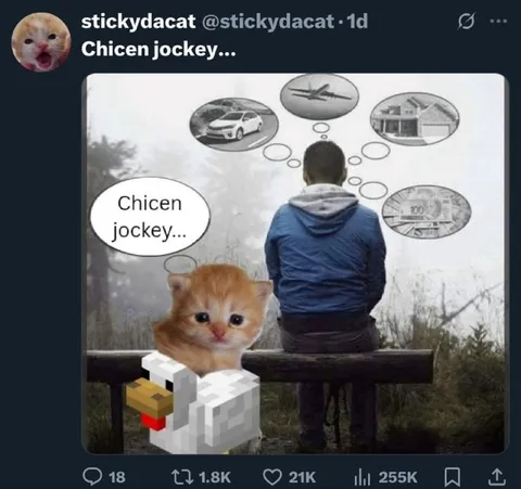 Kitten Says Chicen Jockey