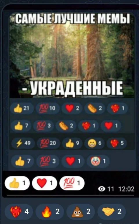 Самые лучшие мемы — украденные