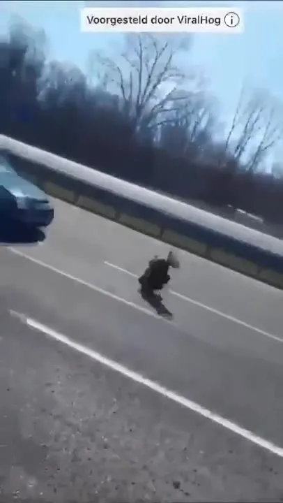 Олень влетел в машину