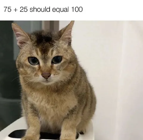 75 Plus 25 Equals 100