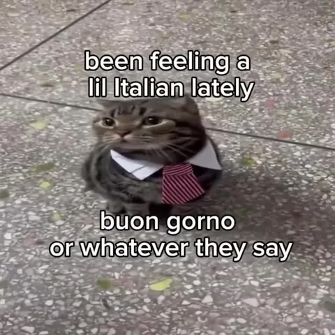 Cat Feeling Italian
