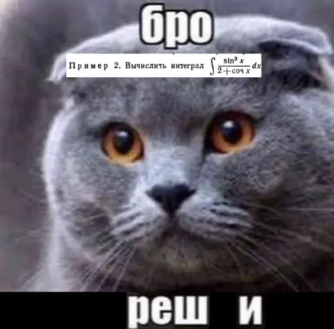 Бро, реши интеграл