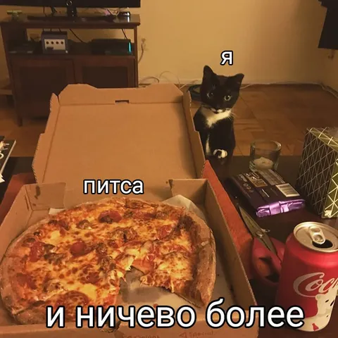Кот и пицца — больше ничего