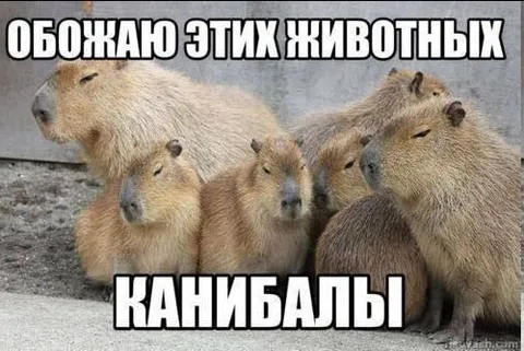 Обожаю этих животных-каннибалов