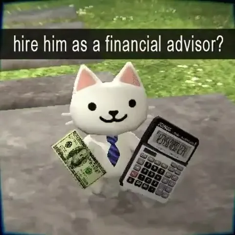 Hire This Cat Financial Advisor