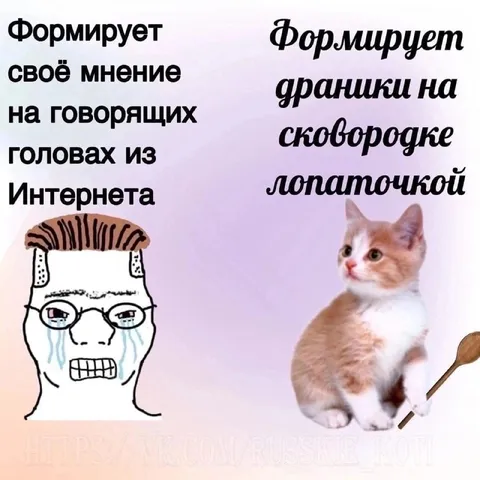 Формирует мнение о говорящих головах