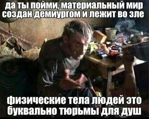 Материальный мир — тюрьма для душ