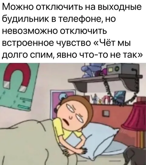 Встроенное чувство долгого сна