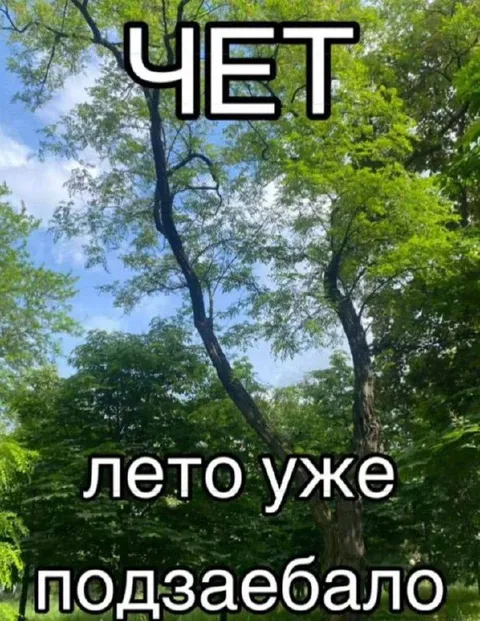 Лето уже подзаебало