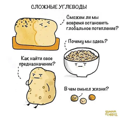 Сложные углеводы и смысл жизни