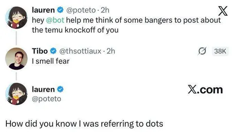 Temu Knockoff Bot