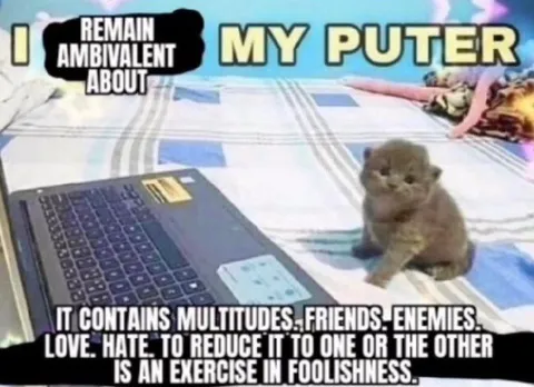 Ambivalent About My Puter