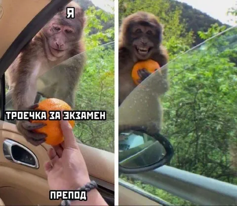 Тречка за экзамен