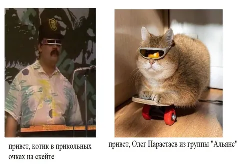 Котик на скейте и Олег Парастаев