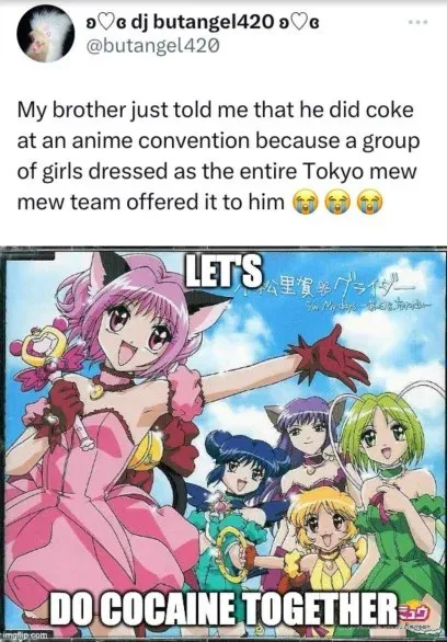 Tokyo Mew Mew Cocaine Team