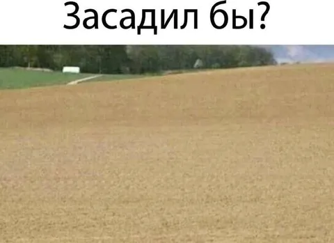 Засадил бы поле