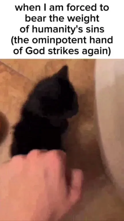 Cat Bears Humanity's Sins