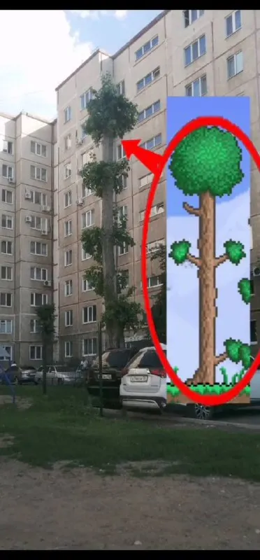 Дерево из игры во дворе