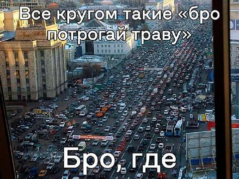 Бро, где трава?