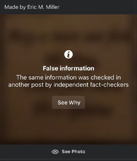 False Information Fact Check Overlay