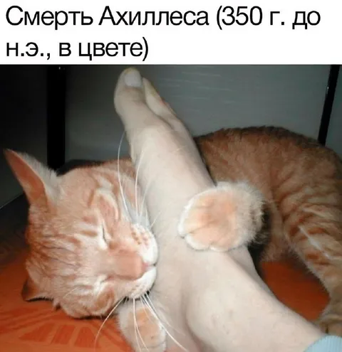 Смерть Ахиллеса в цвете