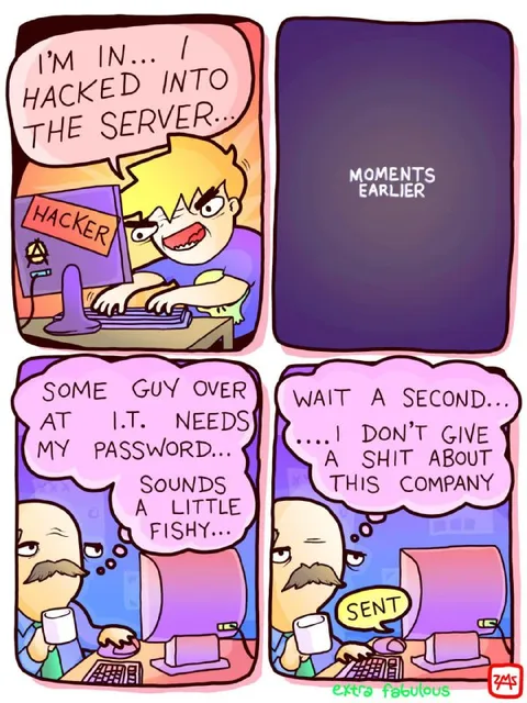 IT Guy Sends the Password