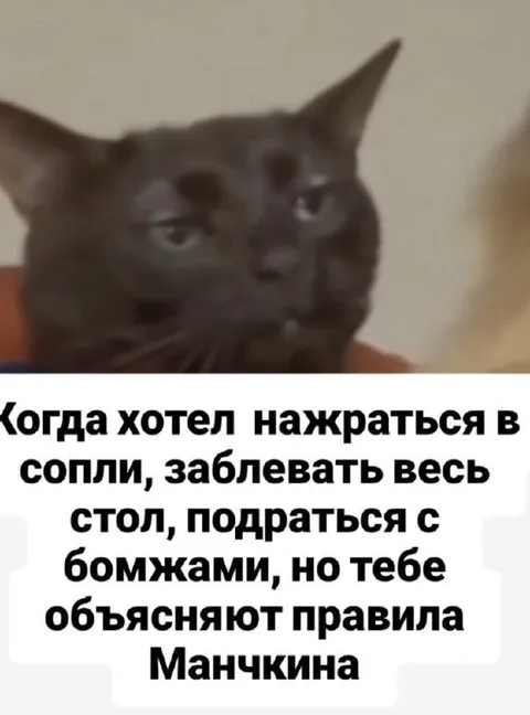 Кот слушает правила Манчкина