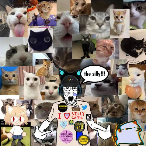 The Silly Cat Enthusiast