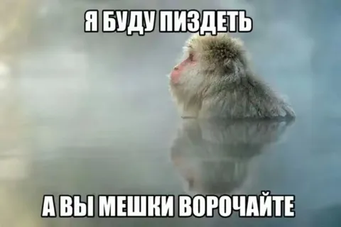 Я буду пиздеть, а вы мешки ворочайте