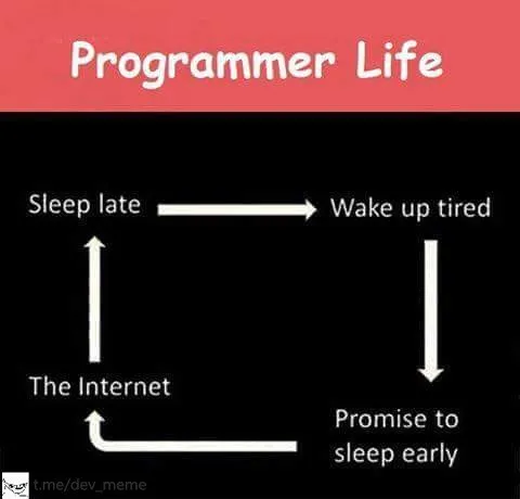Programmer Life Sleep Loop