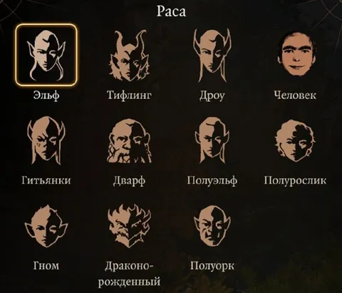 Выбор расы в игре