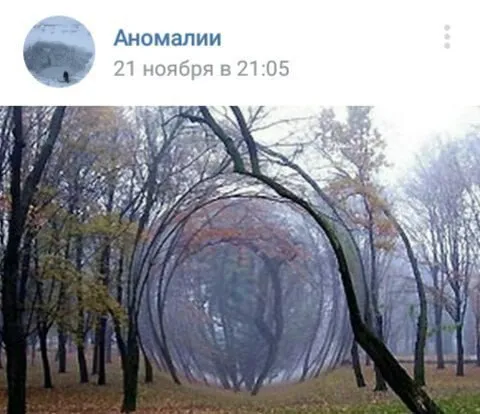 Аномальное дерево в лесу