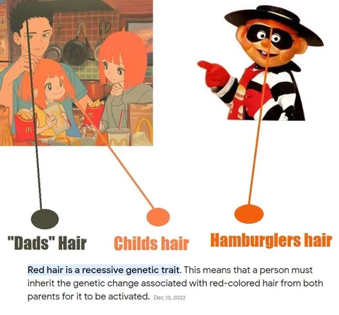 Hamburglar's Hair Genetics