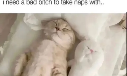 Bad Bitch Nap Partner