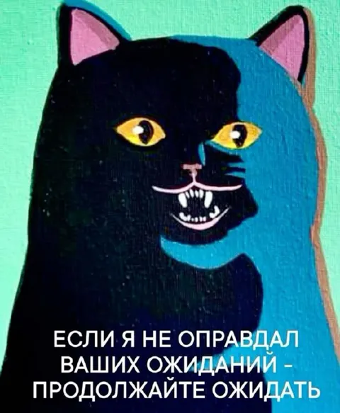Кот оправдал ожидания