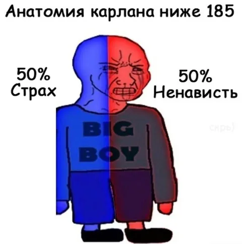 Анатомия карлана ниже 185