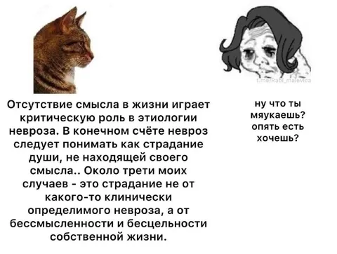 Невроз и бессмысленность жизни